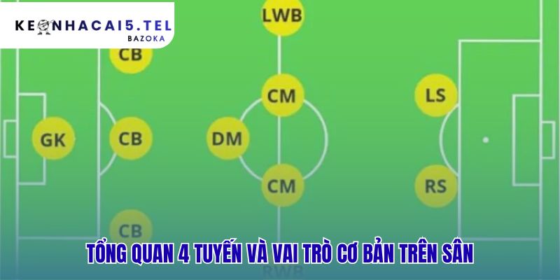 Nền tảng vai trò 4 tuyến giúp so sánh sự thay đổi hiện đại